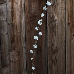 Meet your Posher, Ri